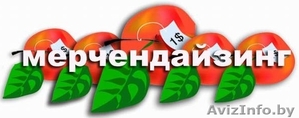 Услуги мерчендайзинга в Минске. - Изображение #1, Объявление #1567383