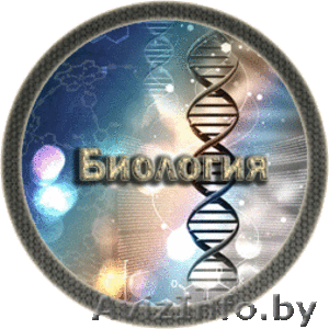 Биология и Химия. Репетитор в Минске - Изображение #1, Объявление #1579583