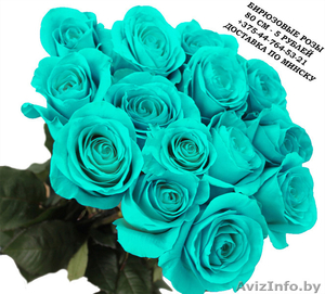Бирюзовые розы купить в Минске - Изображение #5, Объявление #1576004