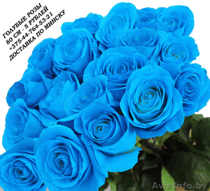 Голубые розы купить в Минске - Изображение #5, Объявление #1576002
