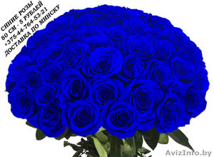 Синие розы купить в Минске - Изображение #5, Объявление #1575999
