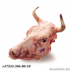 Куплю головы говяжьи без языка, без шкуры, без рогов - Изображение #1, Объявление #1584264