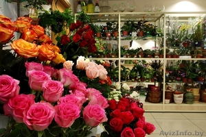 Срочно. Продается прибыльный магазин цветов - Изображение #1, Объявление #1602752