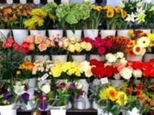 Продается прибыльный магазин цветов. - Изображение #1, Объявление #1612243