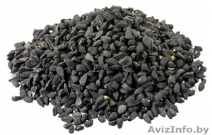 Семена лука чернушка Рэд Барон - Изображение #1, Объявление #1612365