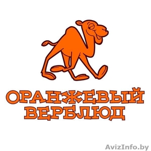Продается интернет-магазин оранжевый верблюд с 12 летней историей - Изображение #1, Объявление #1612523