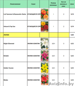 Продам цветы луковичные и клубниевые, семена овощей и цветов - Изображение #1, Объявление #1609165