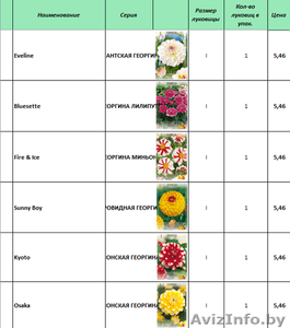 Продам цветы луковичные и клубниевые, семена овощей и цветов - Изображение #3, Объявление #1609165