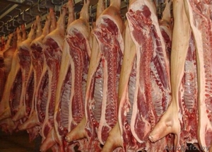 Мясо оптом. Свинина, говядина на складе.  - Изображение #1, Объявление #1621861