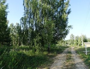 Крайний участок в 19 км от Минска - Изображение #1, Объявление #1625903