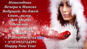 Дед-Мороз ведущий Минск и РБ - Изображение #2, Объявление #1636272