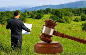 Сопровождение  и приобретение на аукционе