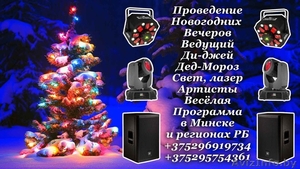 Дед-Мороз ведущий Минск и РБ - Изображение #1, Объявление #1636272
