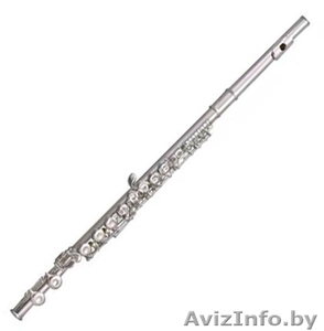 Флейта для музыкальной школы - Изображение #1, Объявление #1638122