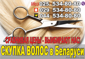 Продать волосы в Минске - Изображение #1, Объявление #1640804