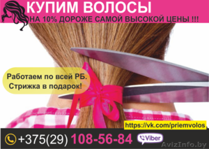 Продать волосы. Минск. - Изображение #1, Объявление #1642305