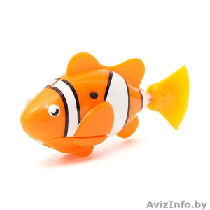 Аквариумная рыбка "Клоун", плавает в воде, работает от батареек! - Изображение #1, Объявление #1644283
