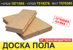 Доска пола. Борисов.