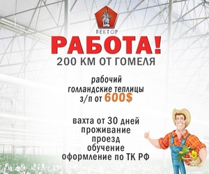 Нужны работники в тепличный комплекс