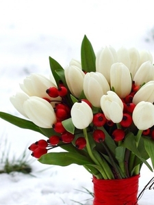 Букеты тюльпанов к 8 марта оптом и в розницу - Изображение #4, Объявление #1673627