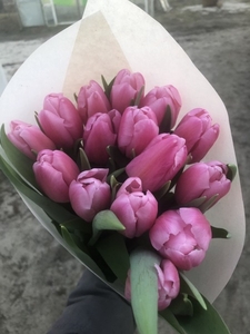 Букеты из тюльпанов Экстра класса к 8 марта, предзаказ - Изображение #3, Объявление #1673928