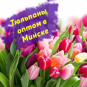 Тюльпаны оптом в Минске, любое количество! - Изображение #1, Объявление #1675038