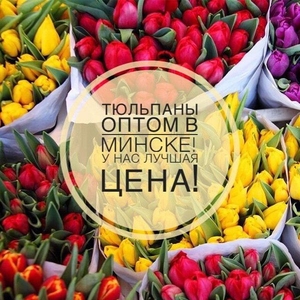 Тюльпаны оптом склад в Минске. Смотри! - Изображение #1, Объявление #1675039