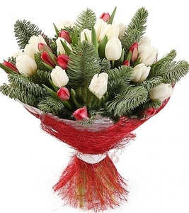 Самые свежие Тюльпаны белорусского производства оптом - Изображение #2, Объявление #1675673