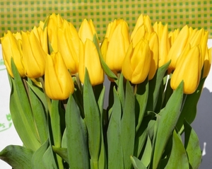 Свежие цветы оптом под заказ к празднику - Изображение #5, Объявление #1675698