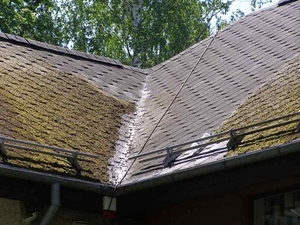 Очистка крыши от 5 руб.кв.м - Изображение #6, Объявление #1683107