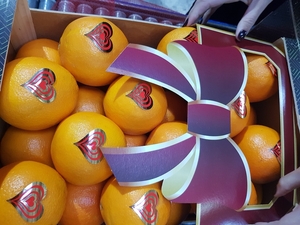 Предлагаем оптовые поставки апельсинов из Испании  - Изображение #2, Объявление #1715446