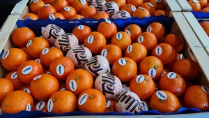 Предлагаем оптовые поставки мандаринов из Испании - Изображение #2, Объявление #1715444