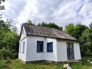 Продам кирпичный дом в д. Бадежи, 86 км от Минска, 13 км. от г. Копыль. - Изображение #2, Объявление #1715521