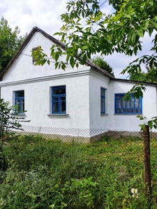 Продам кирпичный дом в д. Бадежи, 86 км от Минска, 13 км. от г. Копыль. - Изображение #3, Объявление #1715521