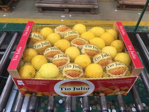 Предлагаем оптовые поставки лимонов из Испании - Изображение #1, Объявление #1715447