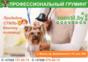 Стрижка собак и кошек в Минске.  (профессиональный груминг) - Изображение #1, Объявление #1705339