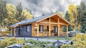 Каркасный дом 10, 4х8, 6 м #1751214