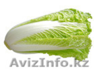 Салат из Испании - Изображение #5, Объявление #1328847