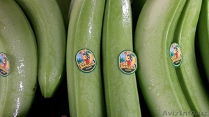 зеленые бананы оптом - Изображение #2, Объявление #329825
