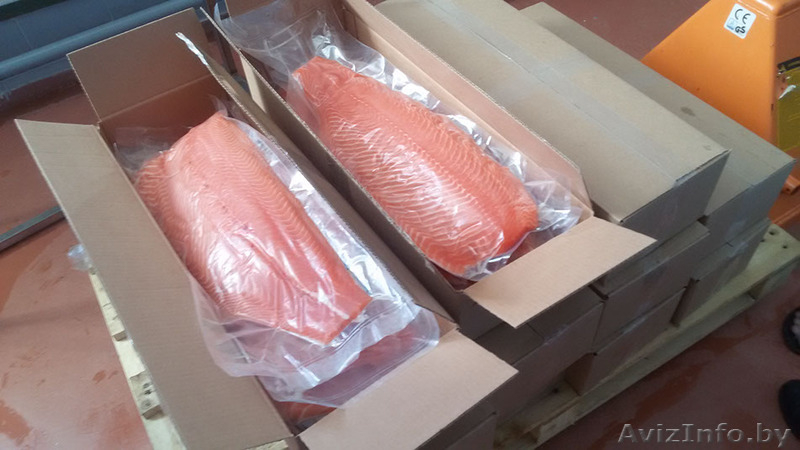 Филе норвежской семги и форели оптом и в розницу с доставкой - Изображение #3, Объявление #1363289