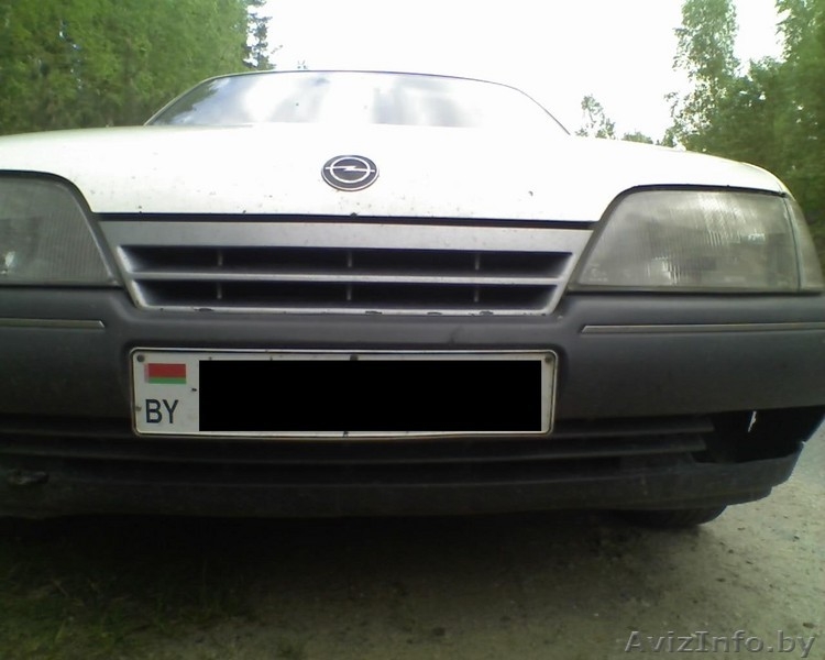 ОТДАМ В ХОРОШИЕ РУКИ - Изображение #1, Объявление #13200