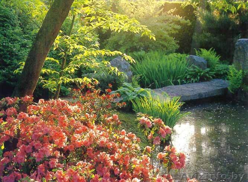 Минский Дом Ландшафтного Дизайна - Изображение #3, Объявление #16852