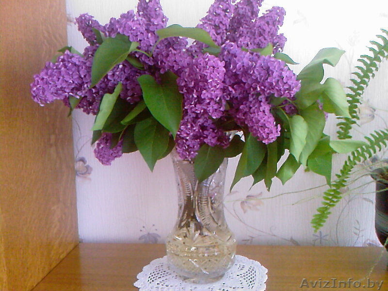 продам книги:КРЫЛОВ,ГОГОЛЬ,ЯН.СИМОНОВ,МЕРИМЕ,ТЕККЕРЕЙ,ШОЛОХОВ,МАЯКОВСКИЙ.БАЙРОНС - Изображение #3, Объявление #26272