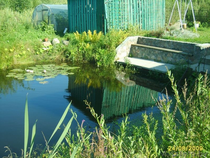 Уютный дом в Браславе - Изображение #3, Объявление #23836