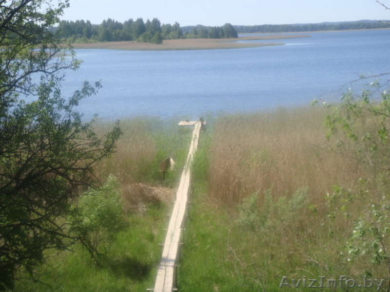 Дом на берегу озера Войсо, камин, лодка, пирс, рыбалка и отдых - Изображение #2, Объявление #29799