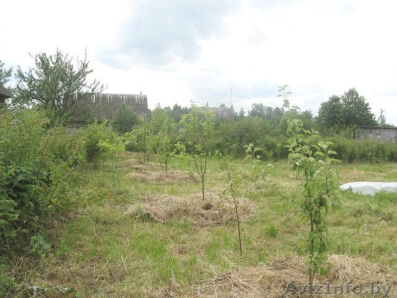 ДАЧНЫЙ УЧАСТОК 10 с  напр Барановичи ост Клыповщина 7мин хода 4 км от Дзержинска - Изображение #1, Объявление #46756