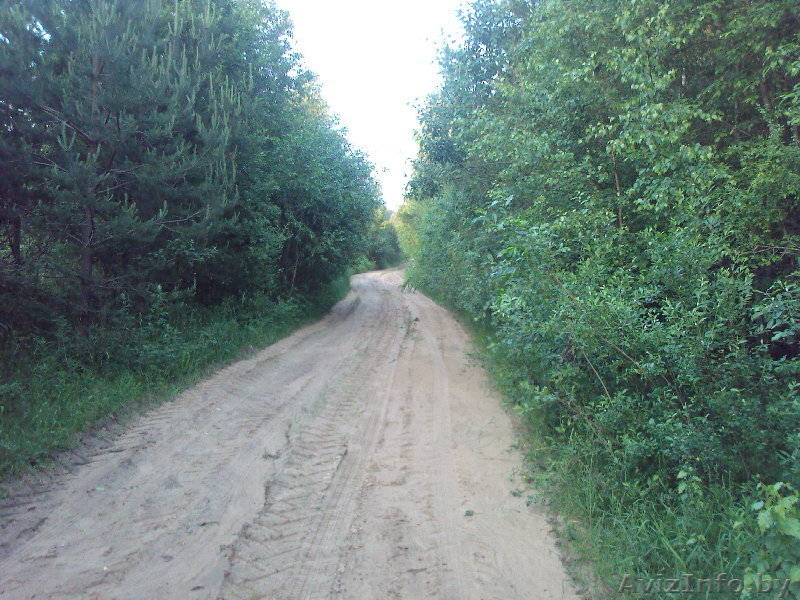 продажа участка в СОСНОВОМ бору - Изображение #5, Объявление #40677