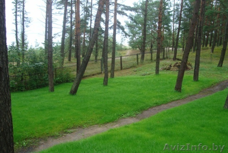 Участок на берегу Балтийского моря - Изображение #1, Объявление #44836