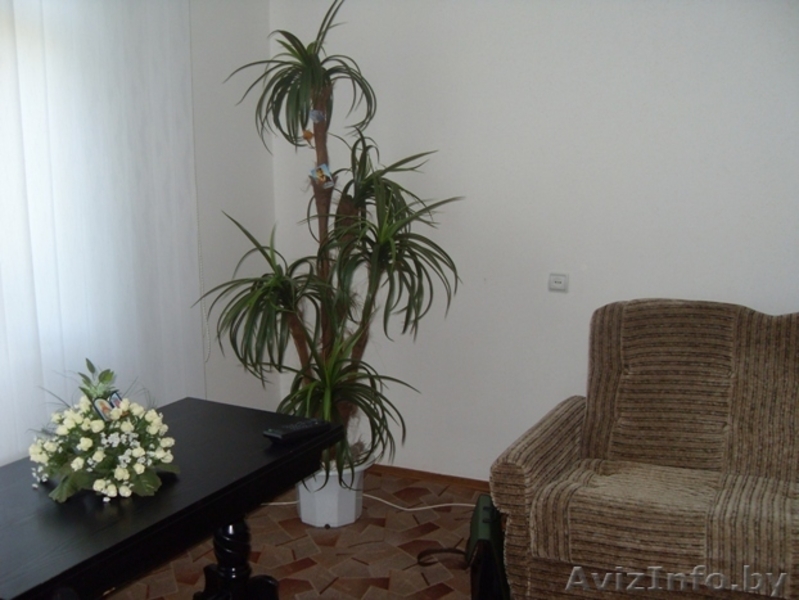 Продаётся трёхкомнатная квартира г.Щёлкино КРЫМ - Изображение #2, Объявление #54397