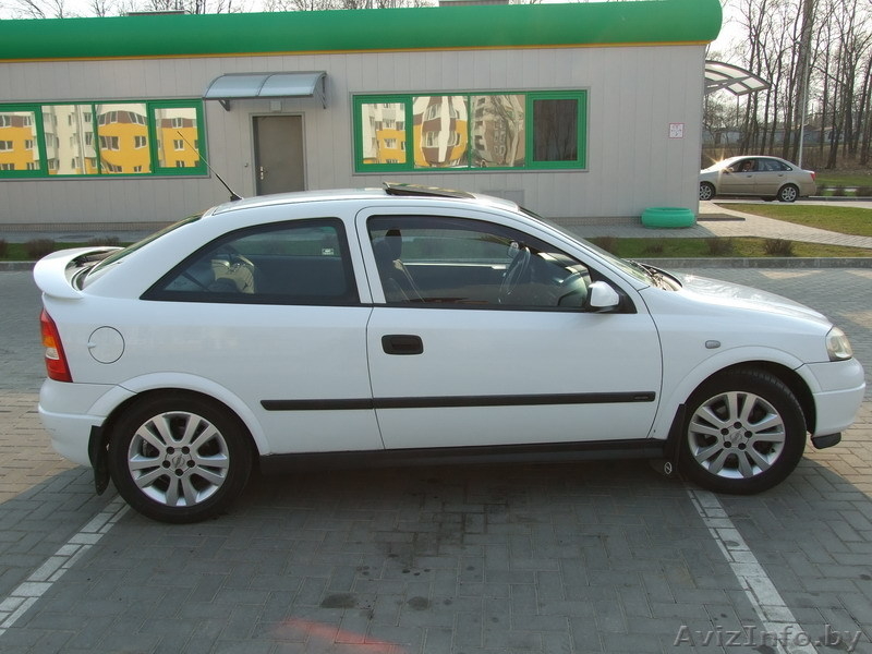 Ищу хорошего хозяина для совей Астрочки! - Изображение #4, Объявление #60157